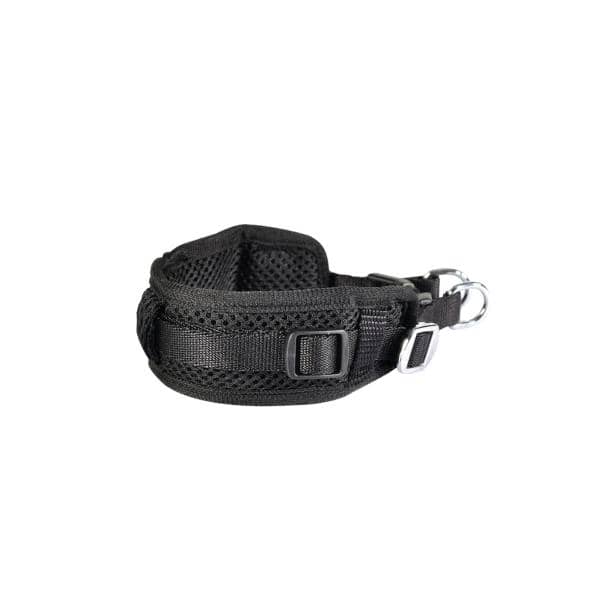 SET SUN WALKING COLLIER M + LAISSE 15X1200